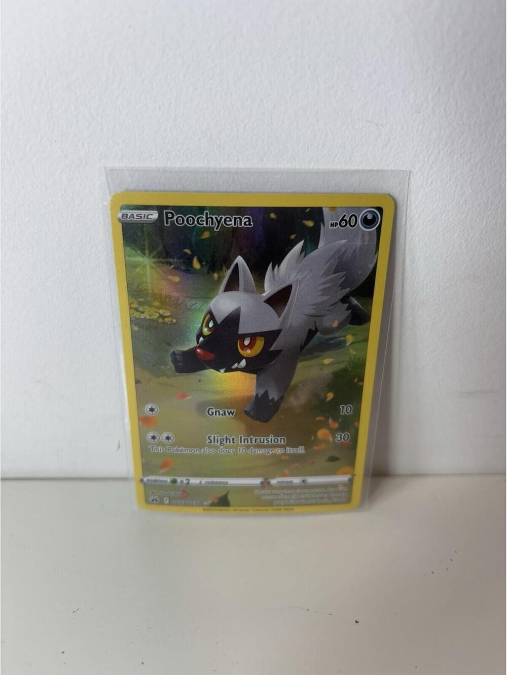 Pokémon Card Poochyena GG33/GG70 Full Art Galarian Gallery Crown Zenith